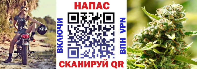 Наркошоп купить Канабис  Галлюциногенные грибы  Меф мяу мяу  Cocaine  Новоалександровск