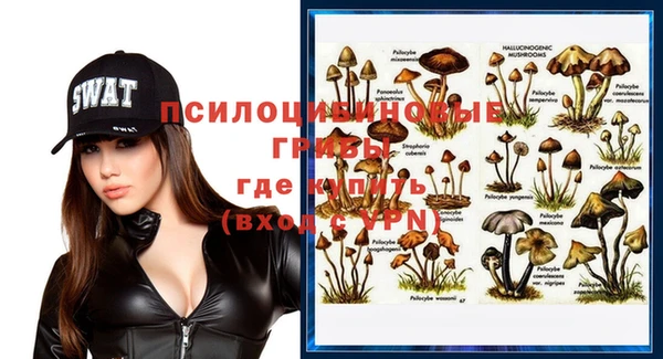 спиды Костерёво