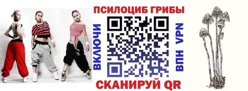 Галлюциногенные грибы мицелий  Купить  Новоалександровск 