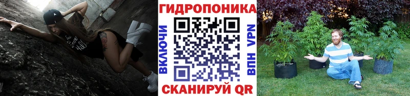 Бошки марихуана план Новоалександровск